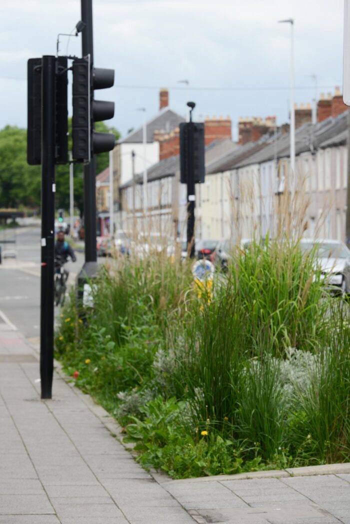 One Planet Cardiff Day one photos taken Cathys Terrace cycle lanes, regreening street planting areas.Park Place new rainwatewr harvesting location Parc Mackenzie.Final location Central Cardiff Electric Bus services and cycle lanes on Casle street